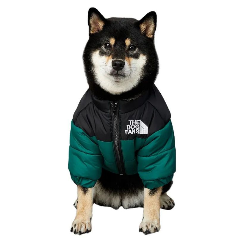 Pet Jacket Ti ak gwo rad chen rad chen